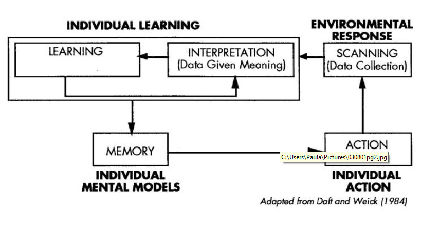 Individual Learning Cycle