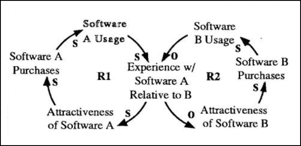 Success to the Successful in Software