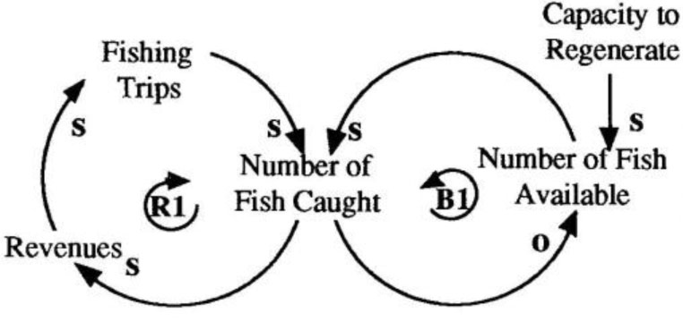Limits to Fish Catches