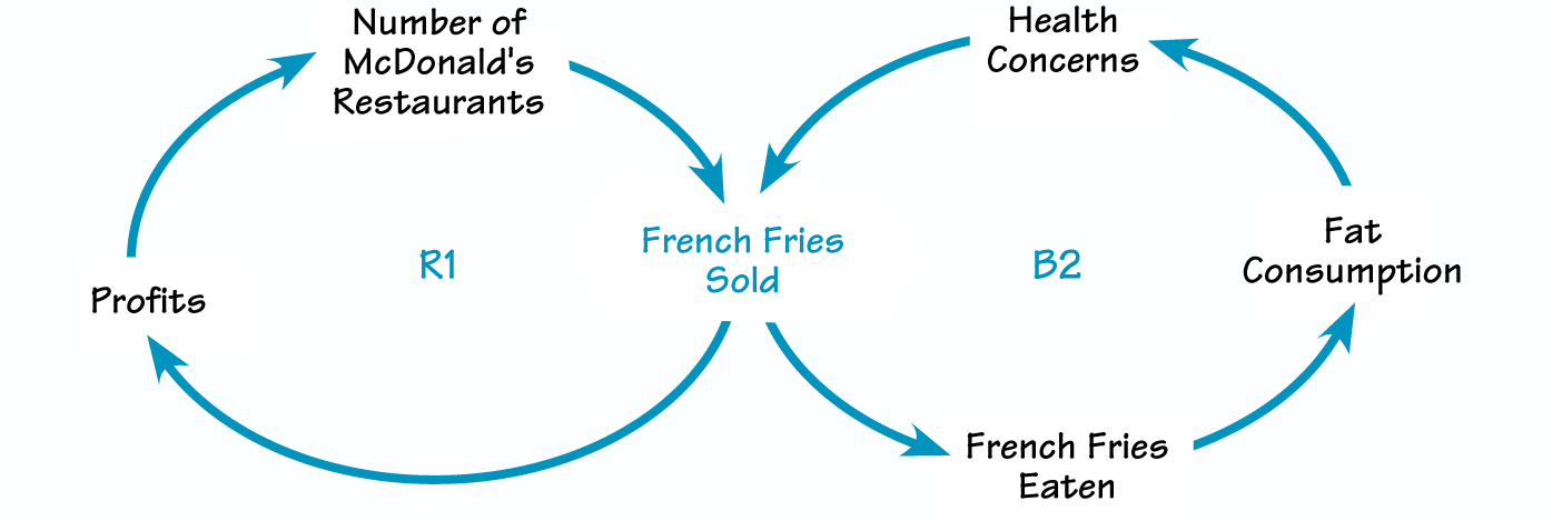 REINFORCING AND BALANCING LOOPS