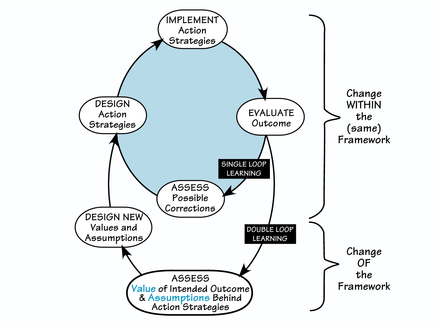 DOUBLE-LOOP LEARNING CYCLE