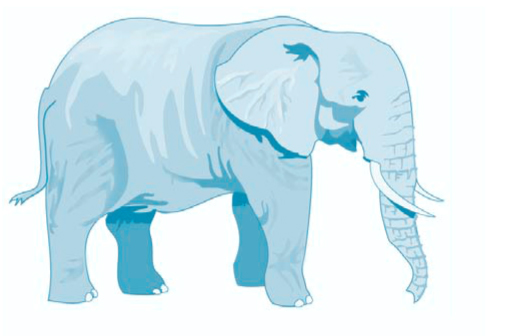 The parable of the blind men and the elephant illustrates