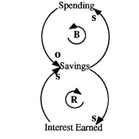 Savings & Spending Loops