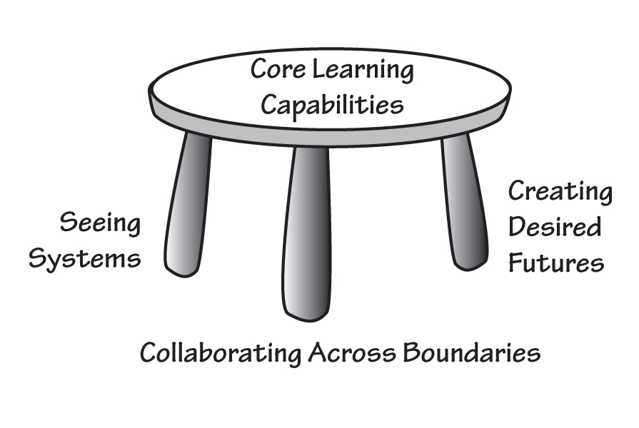 LEARNING CAPABILITIES FOR SYSTEMIC CHANGE