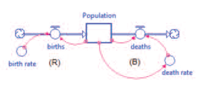relationship between the size of the Population and the death rate