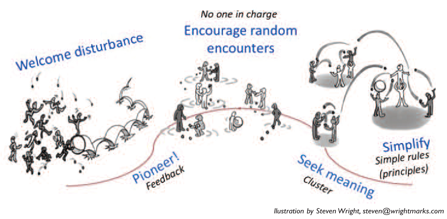 PRINCIPLES FOR ENGAGING EMERGENCE