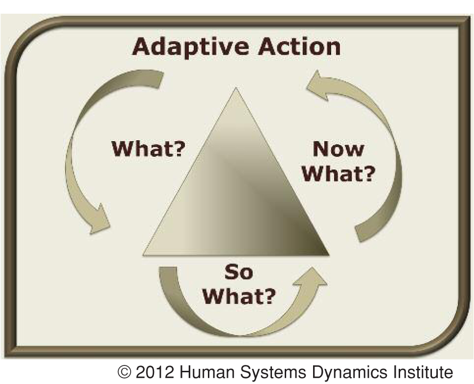 powerful method for engaging with dynamical change in an ever-emerging